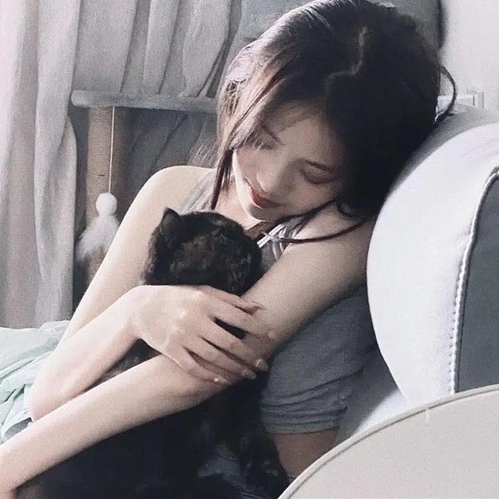 欢迎来到丛林